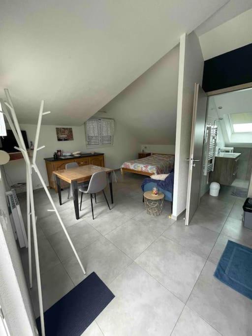 Studio Tout Equipe Aux Pieds Des Vosges Leimbach Exteriör bild