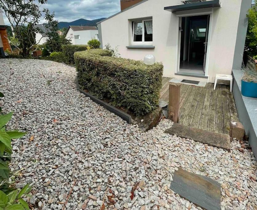 Studio Tout Equipe Aux Pieds Des Vosges Leimbach Exteriör bild